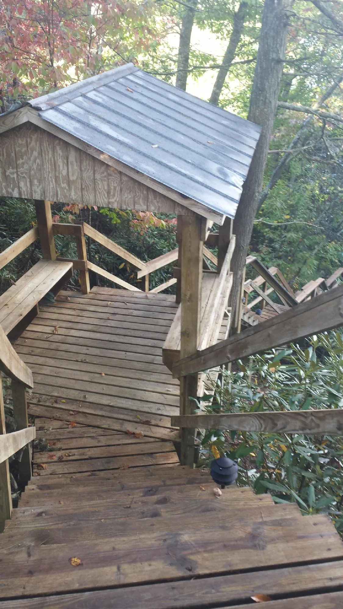 Metal roofed shelter over wooden steps on a wooded walkway — Skylight Repair & Installation work by our crew in Treadwell